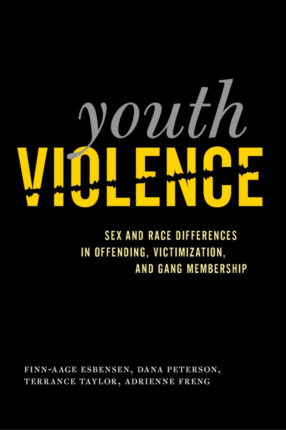 Big bigCover of Youth Violence