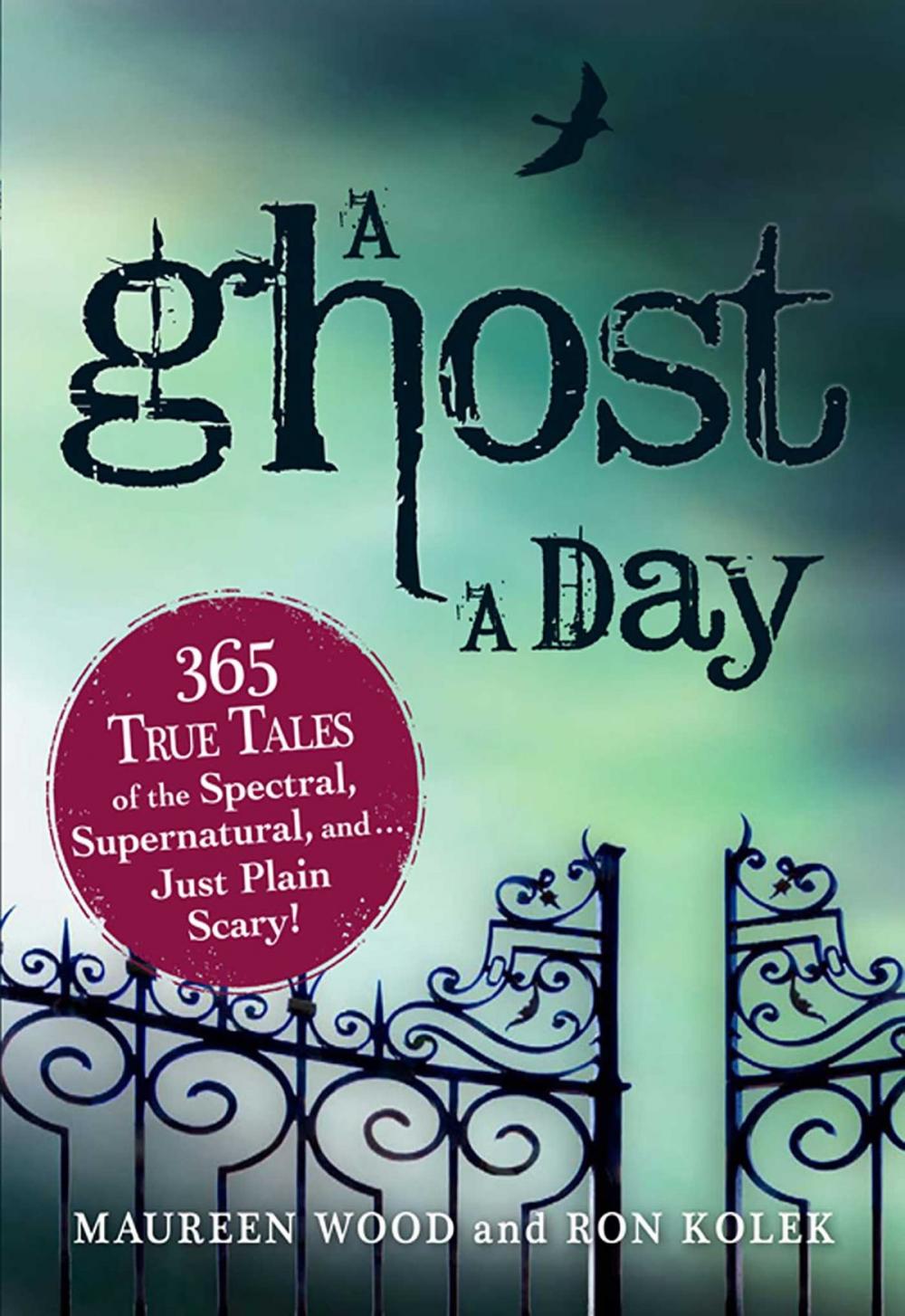 Big bigCover of A Ghost a Day