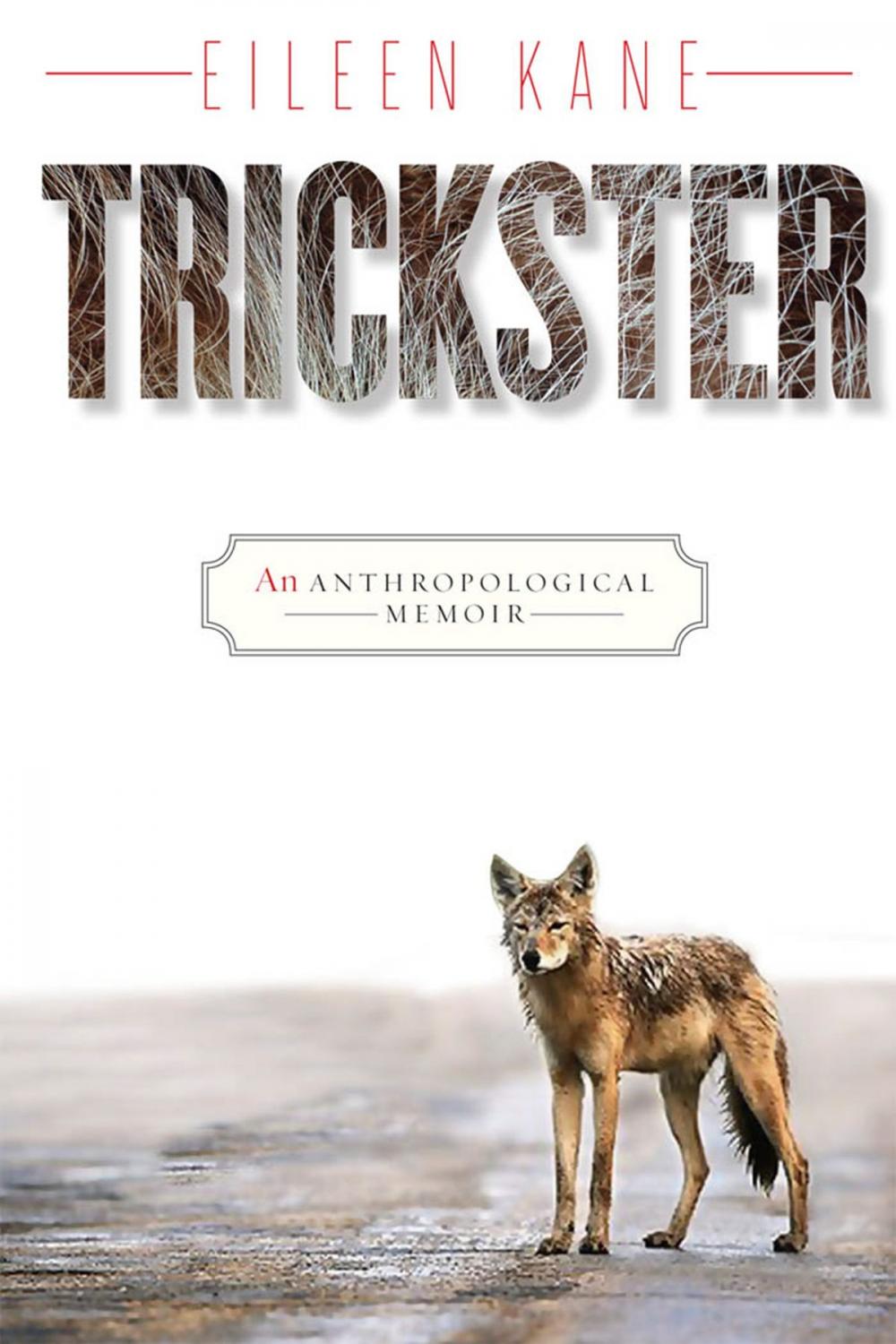 Big bigCover of Trickster