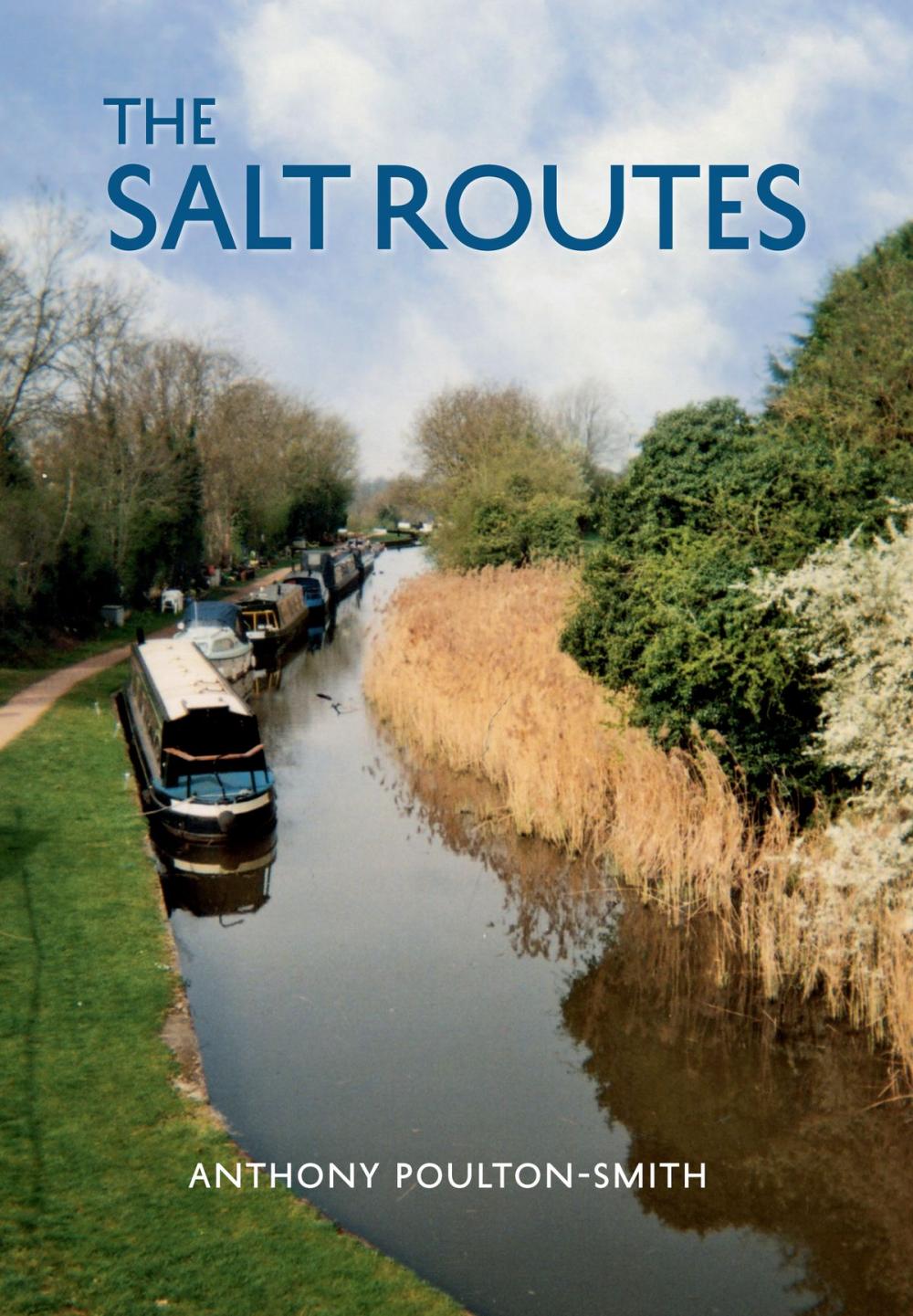 Big bigCover of The Salt Routes