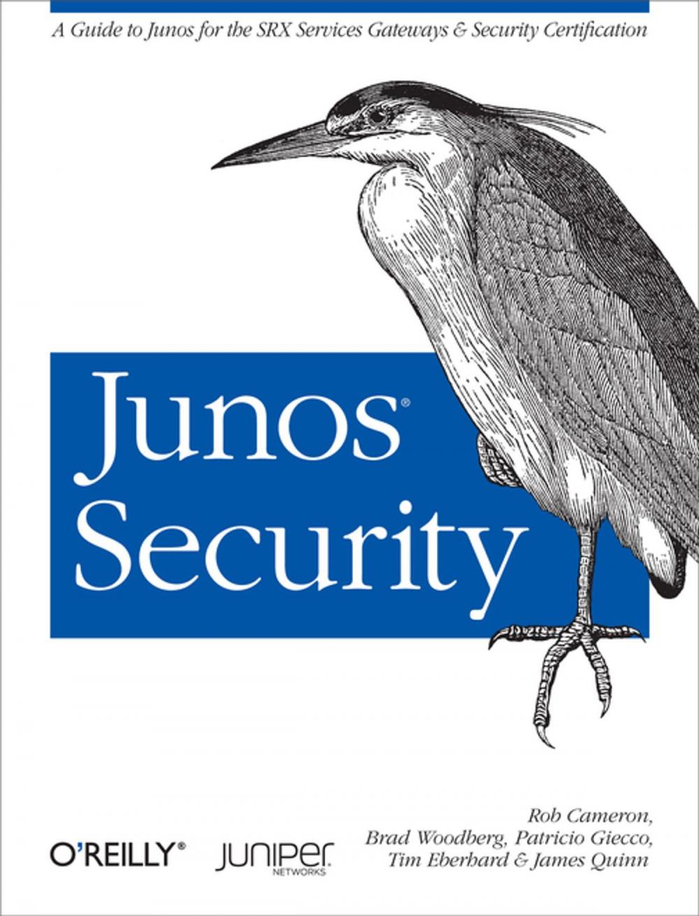 Big bigCover of Junos Security