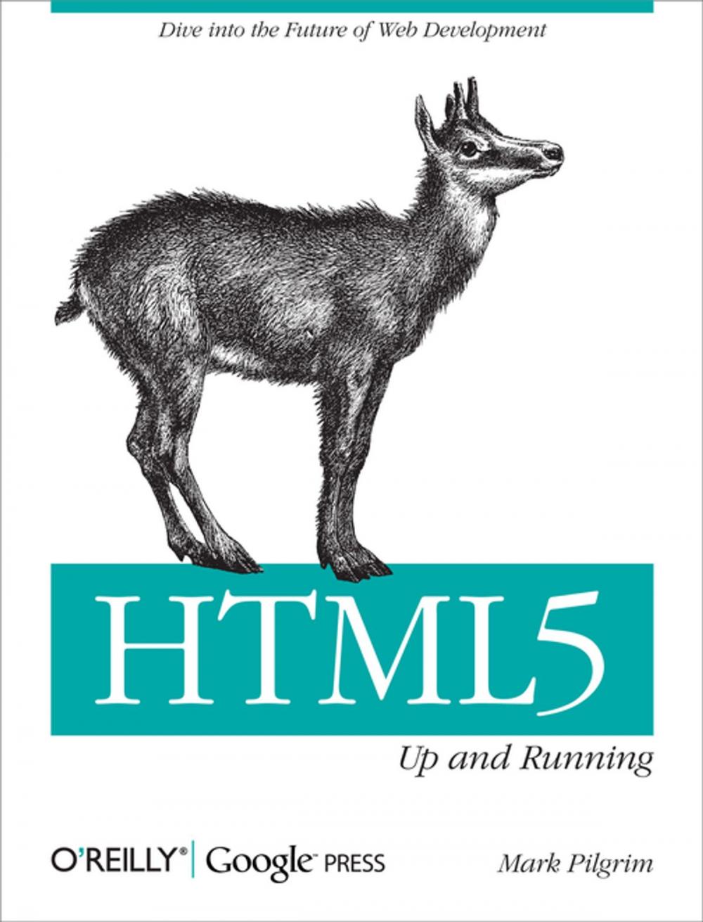 Big bigCover of HTML5: Up and Running