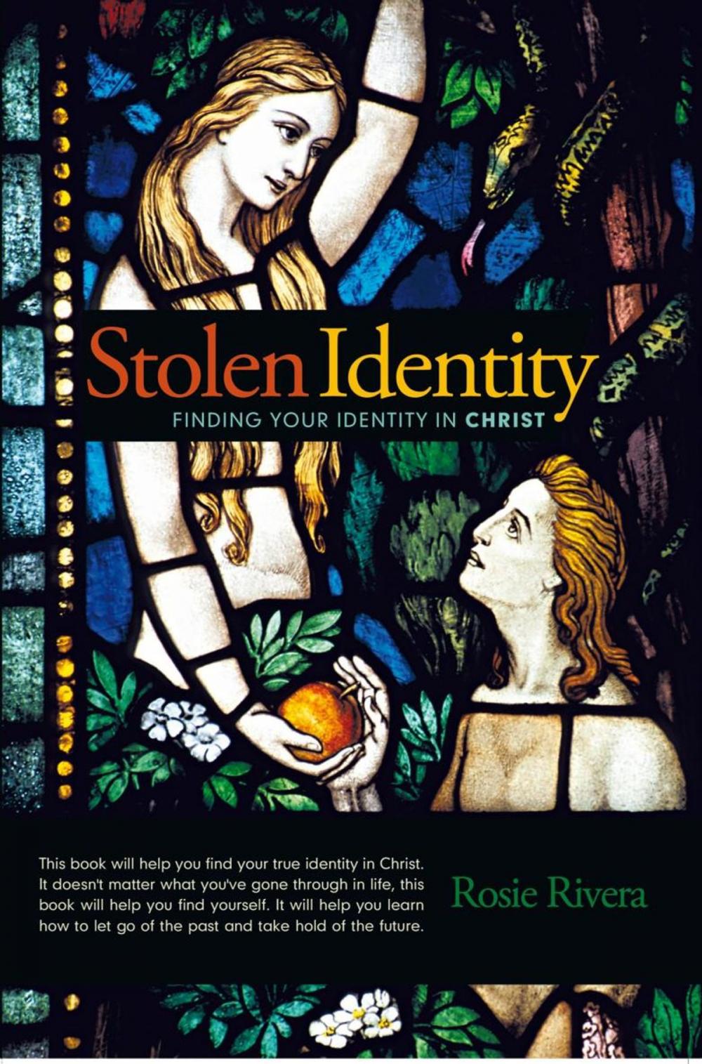 Big bigCover of Stolen Identity