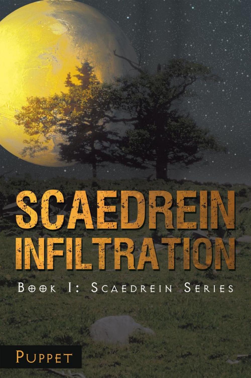 Big bigCover of Scaedrein Infiltration