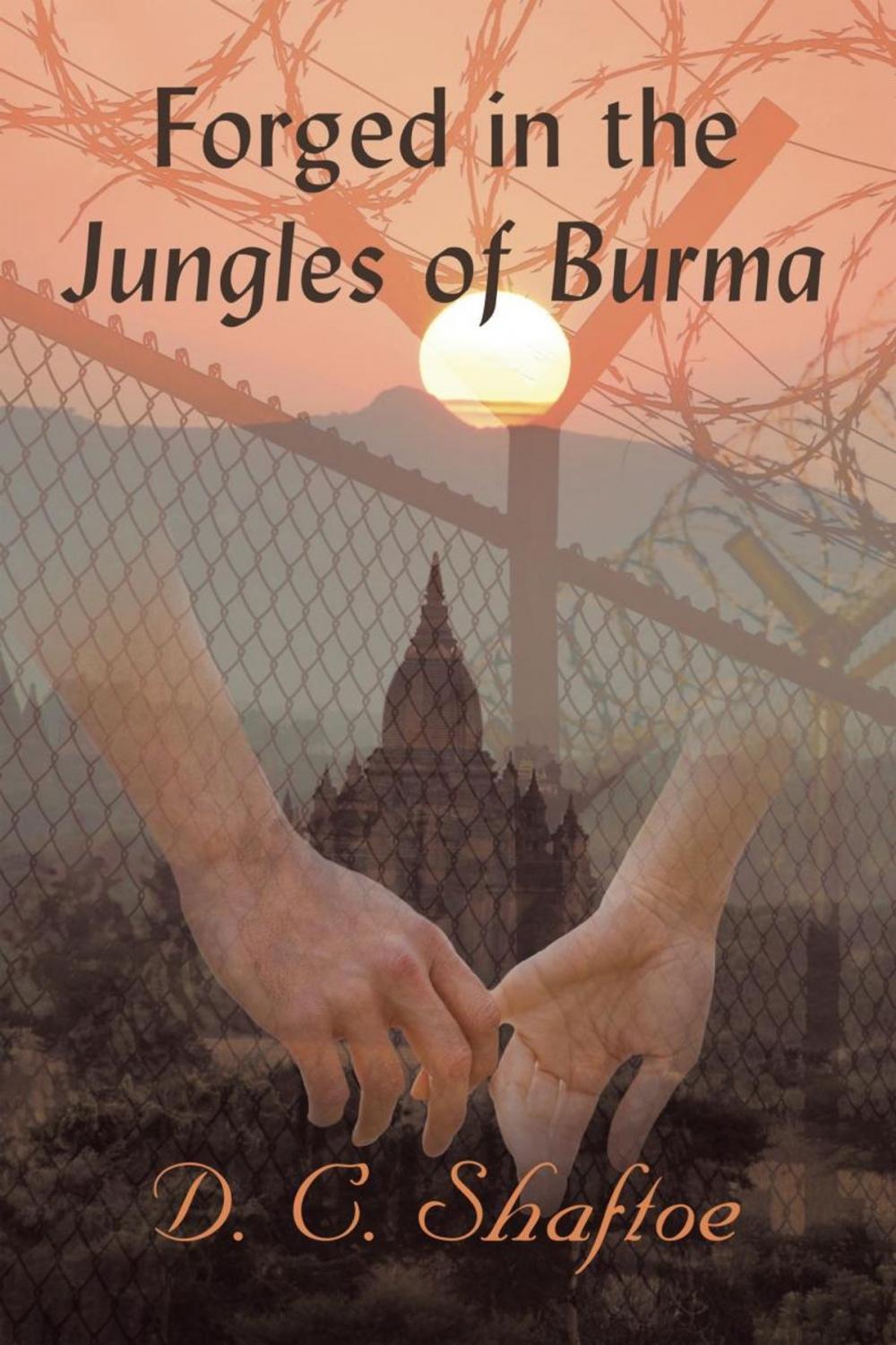 Big bigCover of Forged in the Jungles of Burma