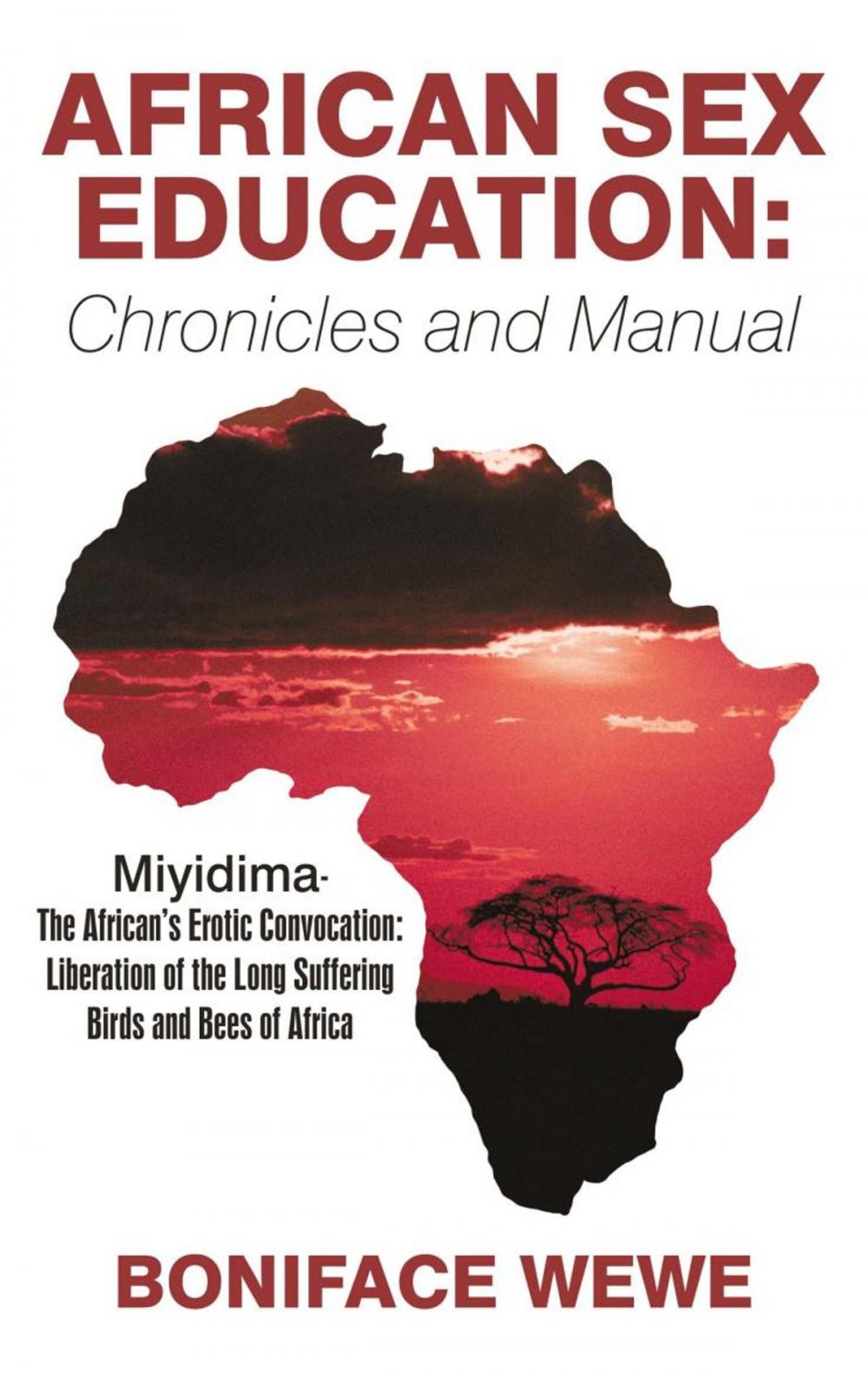 Big bigCover of African Sex Education:Chronicles and Manual