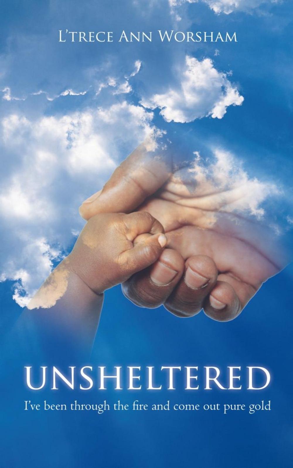 Big bigCover of Unsheltered