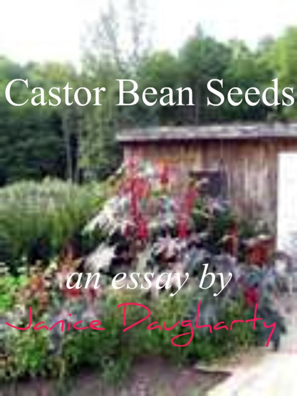 Big bigCover of Castor Bean Seeds