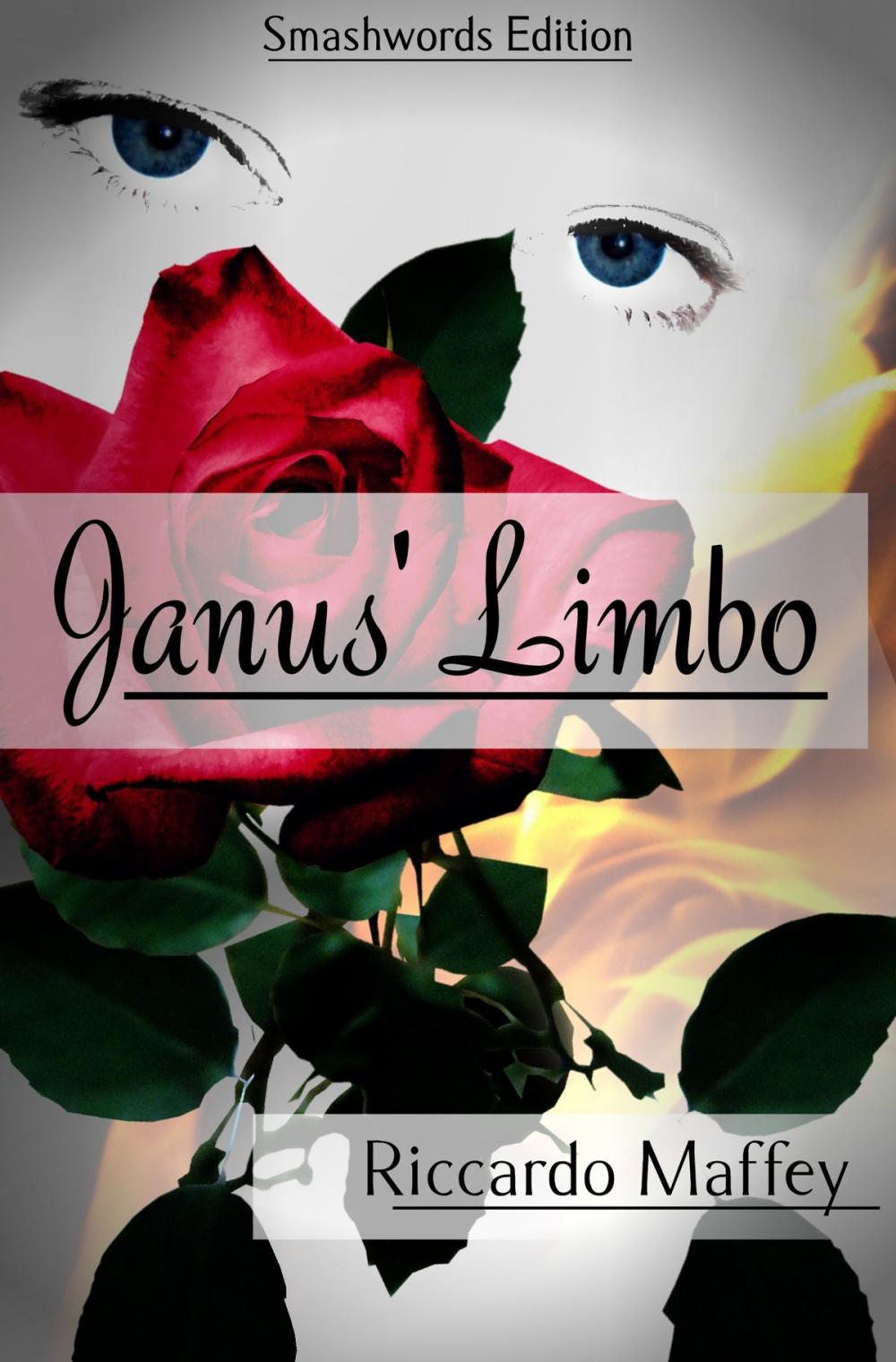 Big bigCover of Janus' Limbo