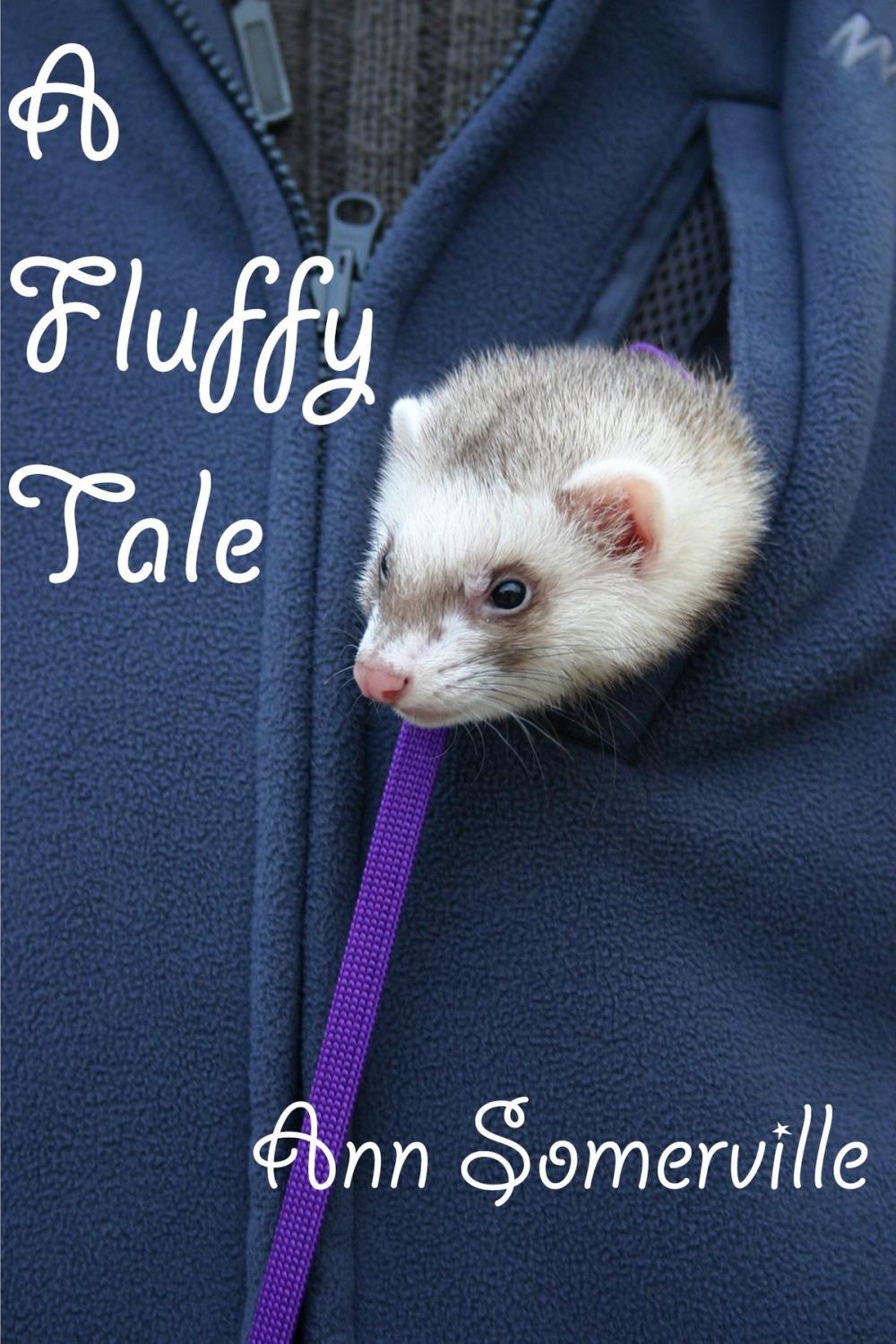 Big bigCover of A Fluffy Tale