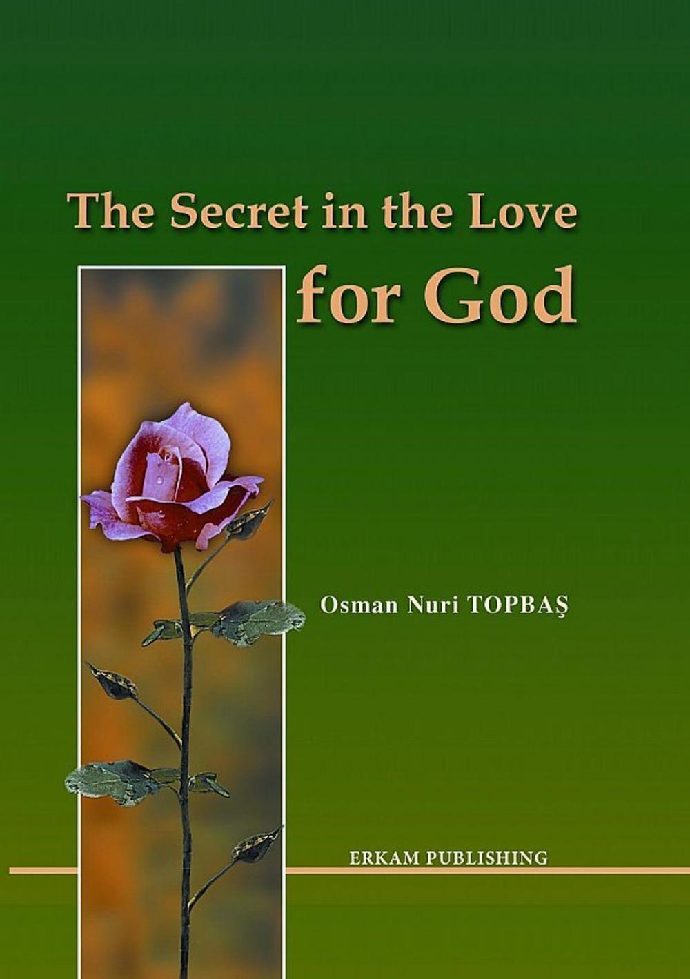 Big bigCover of The Secret in the Love of God