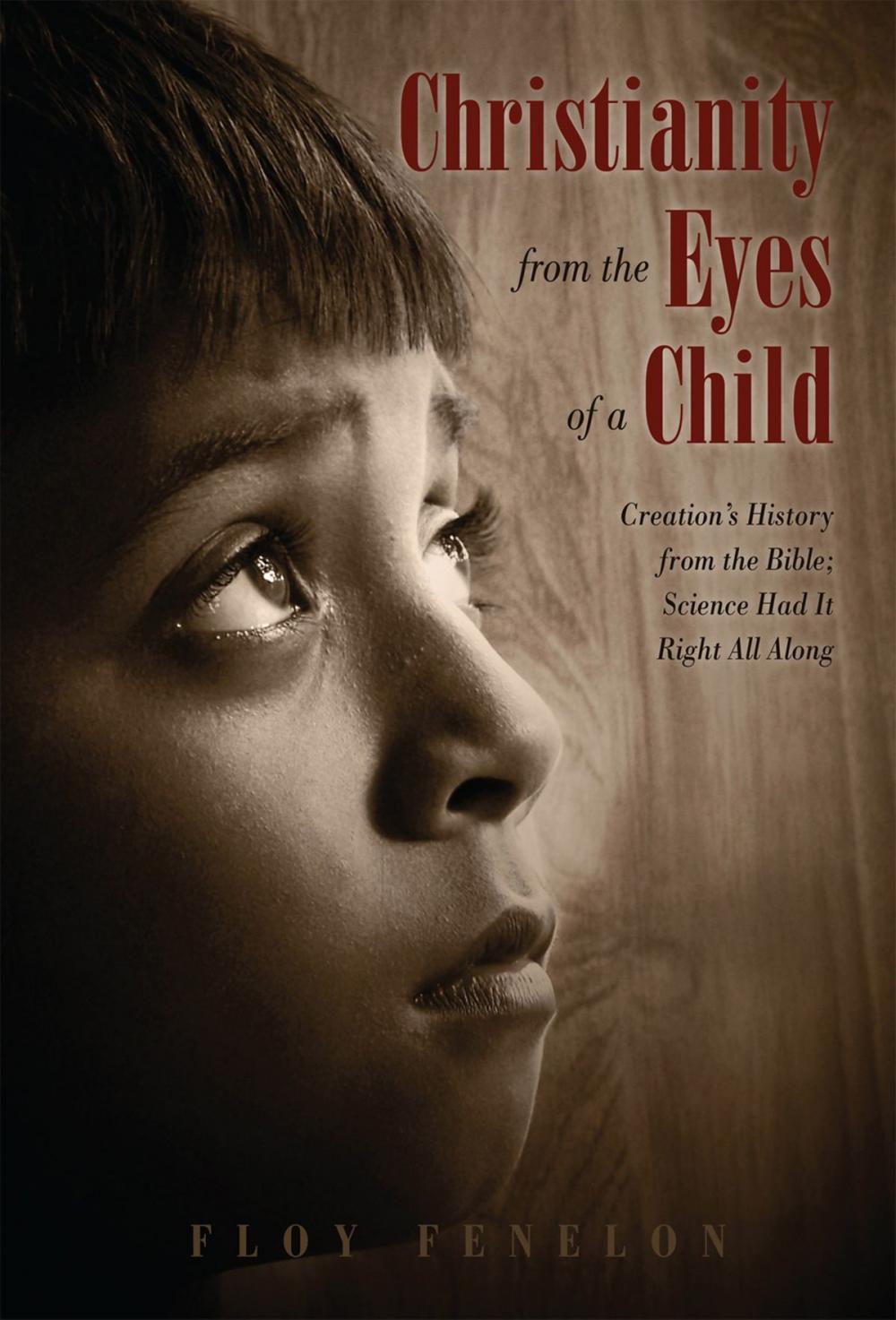 Big bigCover of Christianity from the Eyes of a Child