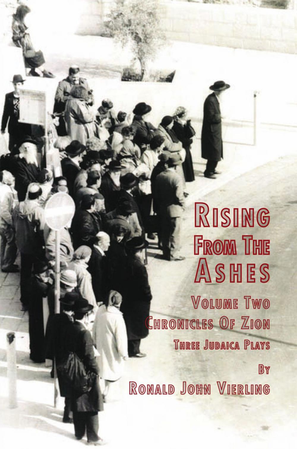 Big bigCover of Rising from the Ashes Vol 2