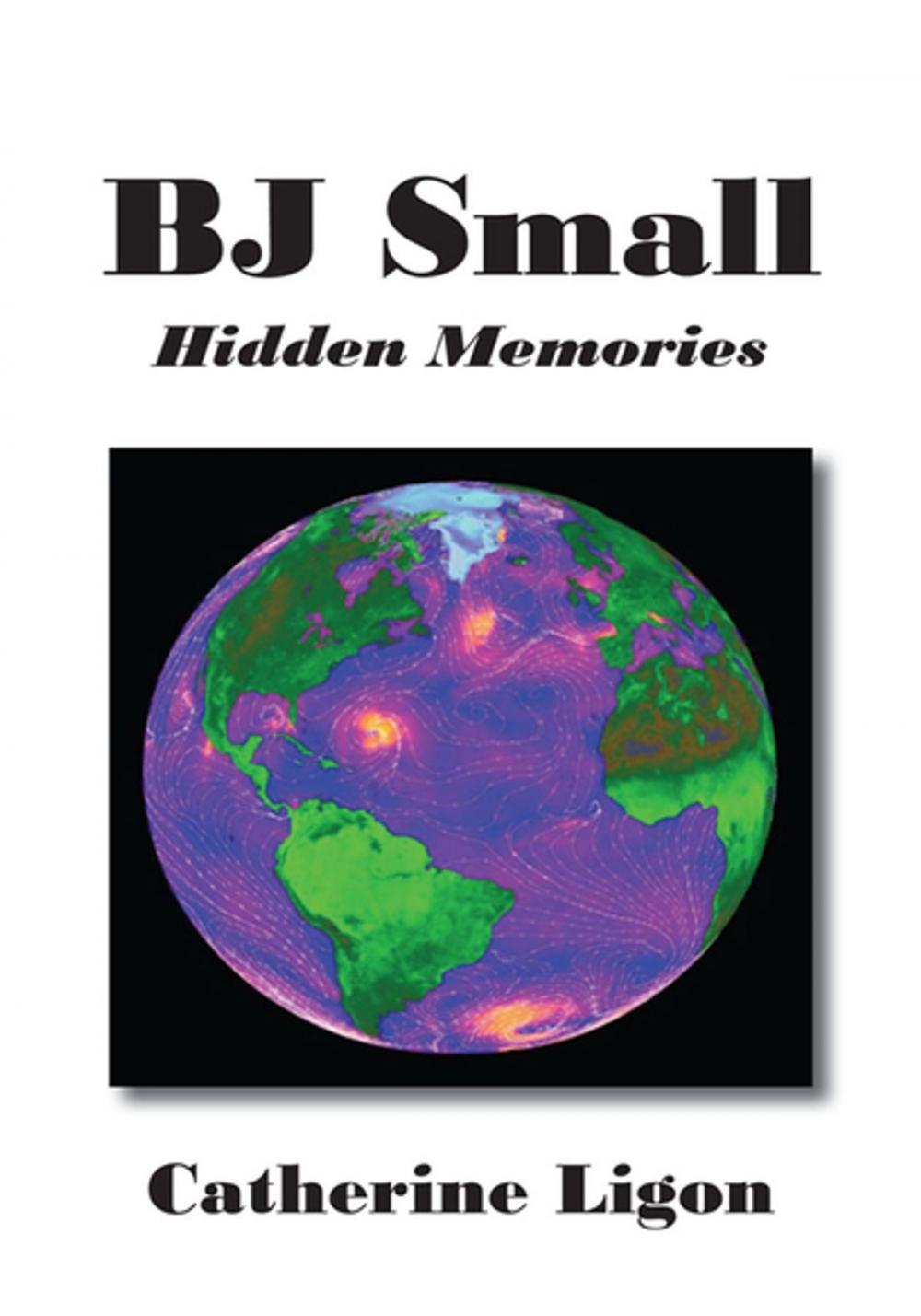 Big bigCover of Bj Small