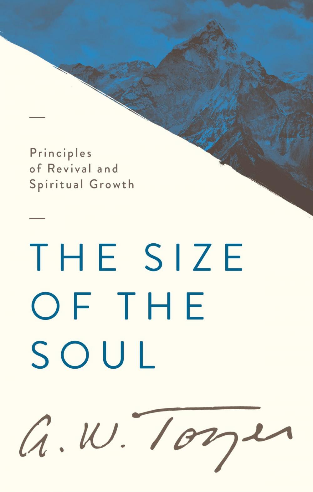 Big bigCover of The Size of the Soul