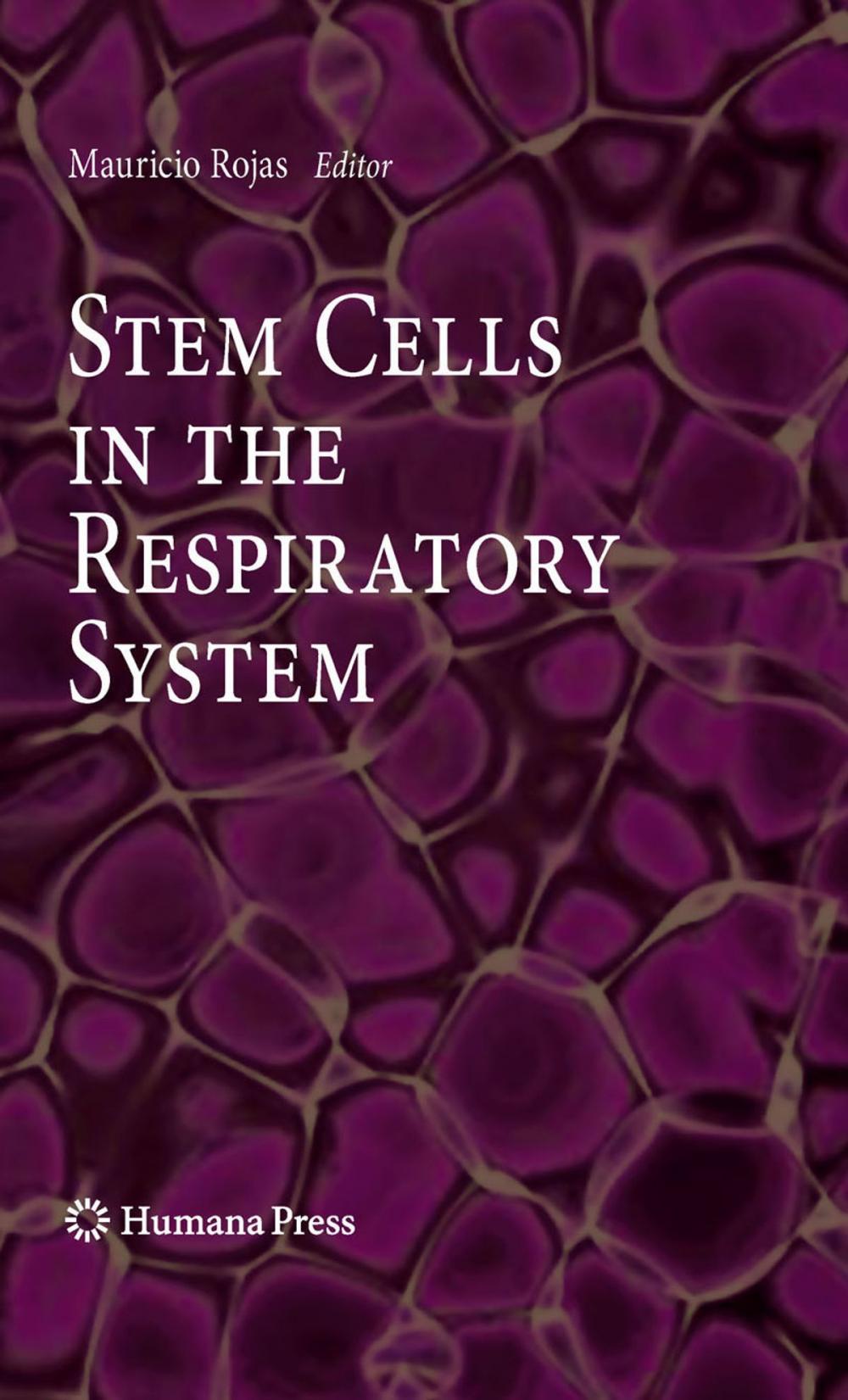 Big bigCover of Stem Cells in the Respiratory System