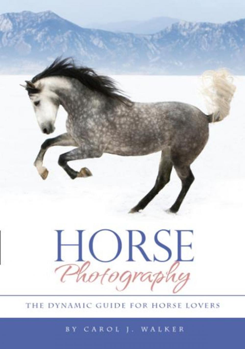 Big bigCover of Horse Photography