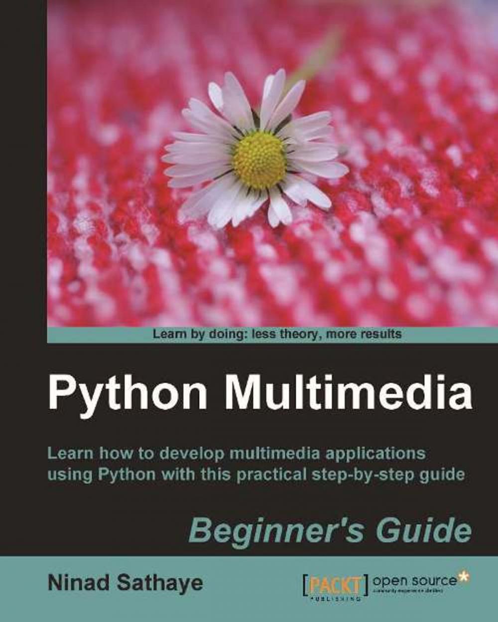 Big bigCover of Python Multimedia Beginner's Guide