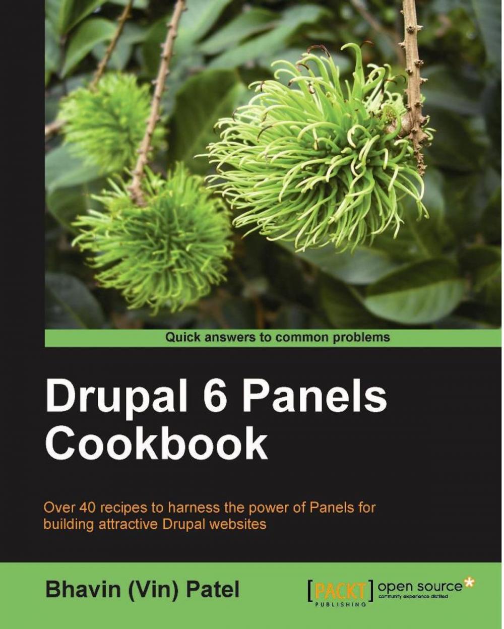 Big bigCover of Drupal 6 Panels Cookbook