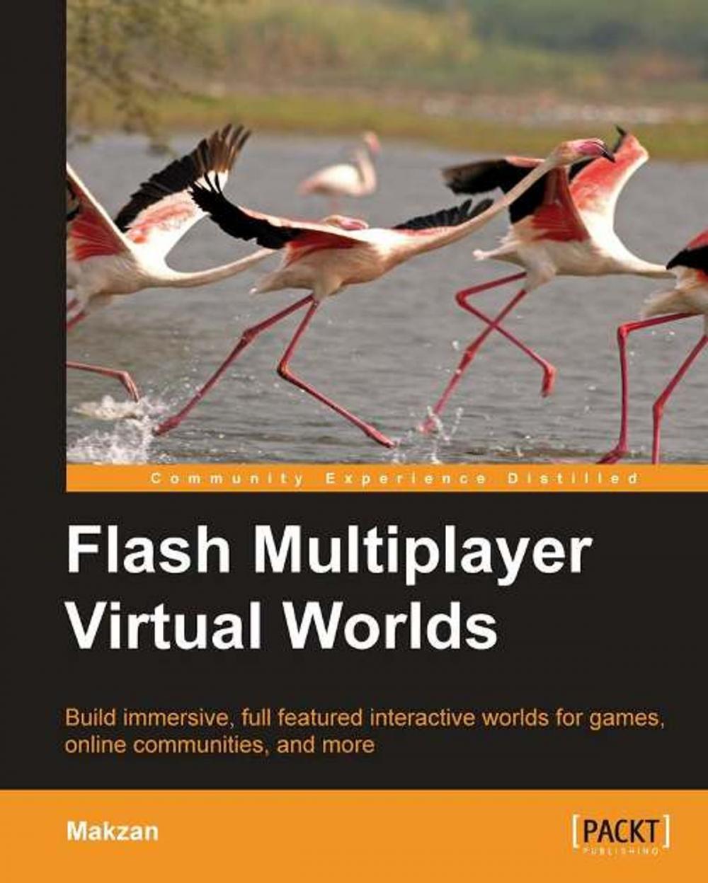 Big bigCover of Flash Multiplayer Virtual Worlds