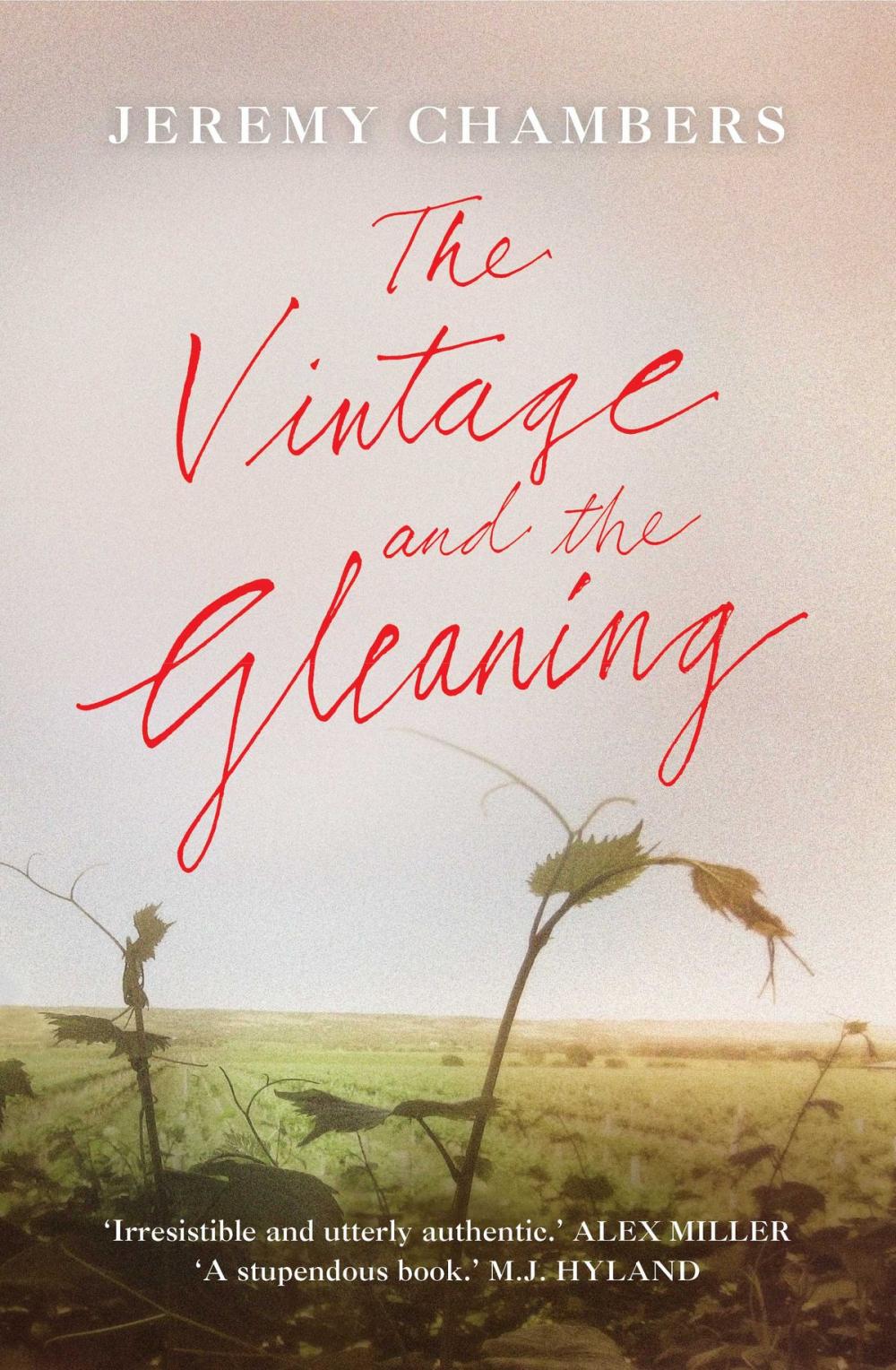 Big bigCover of The Vintage and the Gleaning