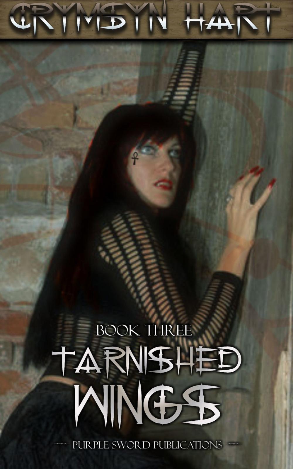 Big bigCover of Tarnished Wings Book Three