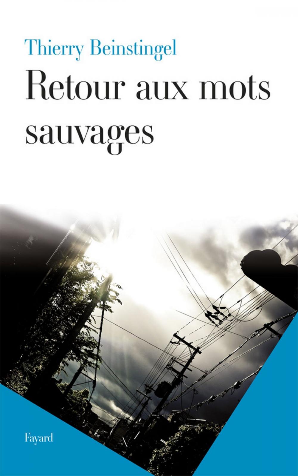 Big bigCover of Retour aux mots sauvages