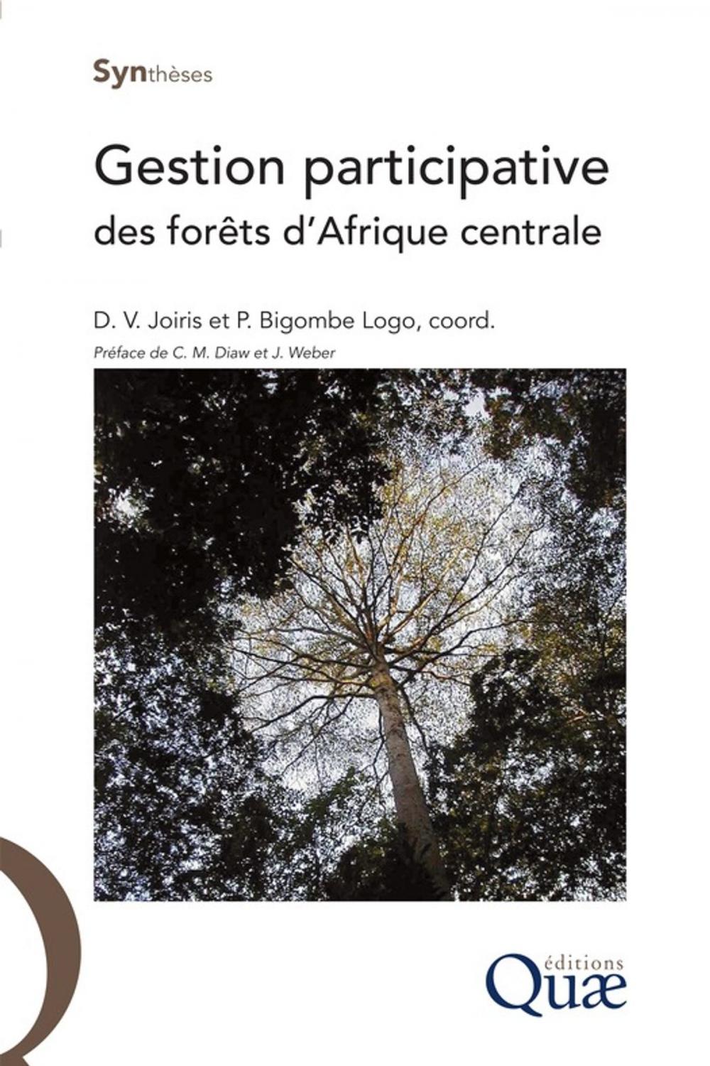 Big bigCover of Gestion participative des forêts d'Afrique centrale