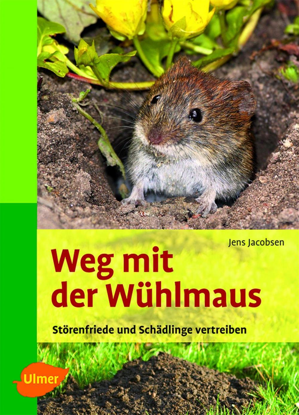 Big bigCover of Weg mit der Wühlmaus