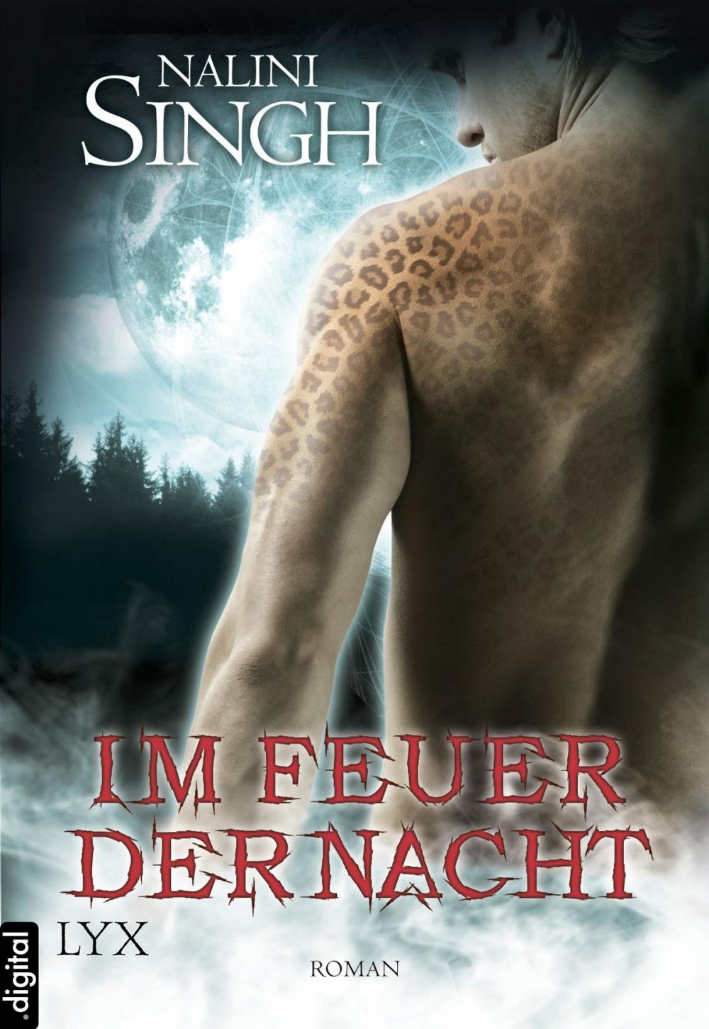 Big bigCover of Im Feuer der Nacht