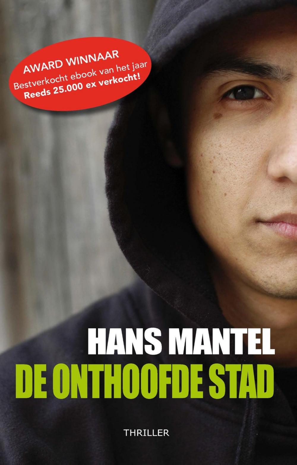 Big bigCover of De onthoofde stad