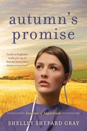 Cover of the book Autumn's Promise by Allen Rucker