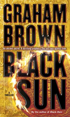 Cover of the book Black Sun by Iris Johansen