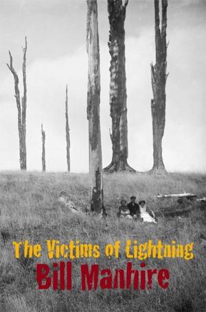 Cover of the book The Victims of Lightning by Richard S. Hill