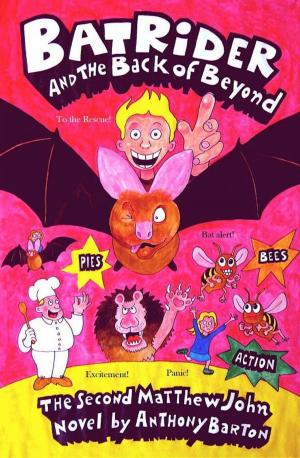 Cover of the book Bat Rider and the Back of Beyond by Anthony Barton