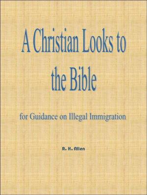 Cover of the book A Christian Looks to the Bible for Guidance on Illegal Immigration by Mary Askew