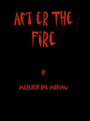 Book cover of After the Fire
