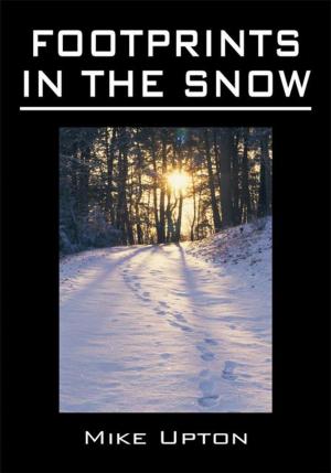 Cover of the book Footprints in the Snow by Adetona Samuel
