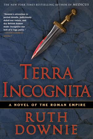 Cover of the book Terra Incognita by Mir Bahmanyar