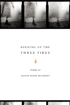 Cover of the book Burning of the Three Fires by Jacek Gutorow