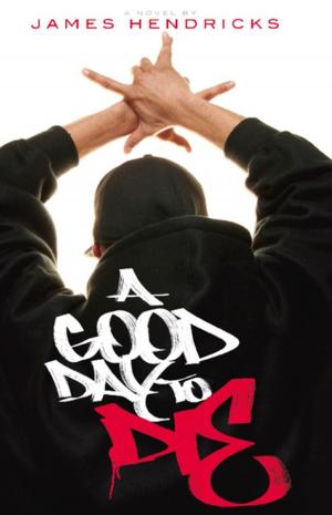 Cover of the book A Good Day to Die by Stephen Hewett