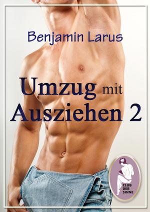 Cover of the book Umzug mit Ausziehen (Teil 2) by Inka Loreen Minden