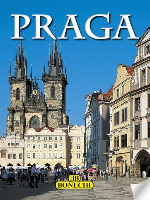 Book cover of Praga