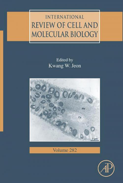 Cover of the book International Review of Cell and Molecular Biology by , Elsevier Science