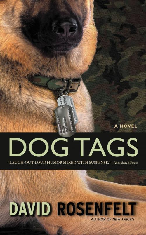 Cover of the book Dog Tags by David Rosenfelt, Grand Central Publishing