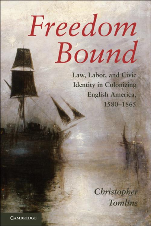 Cover of the book Freedom Bound by Christopher Tomlins, Cambridge University Press