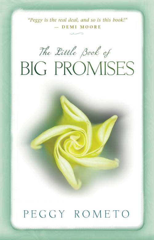 Cover of the book The Little Book of Big Promises by Peggy Rometo, Hay House