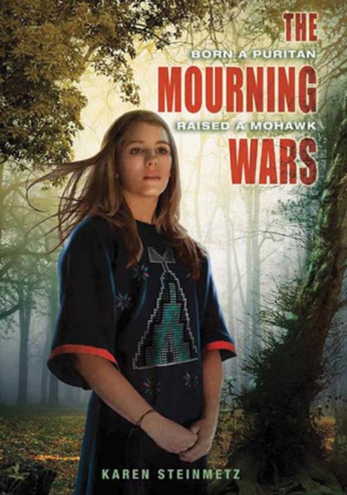 Cover of the book The Mourning Wars by Karen Steinmetz, Roaring Brook Press