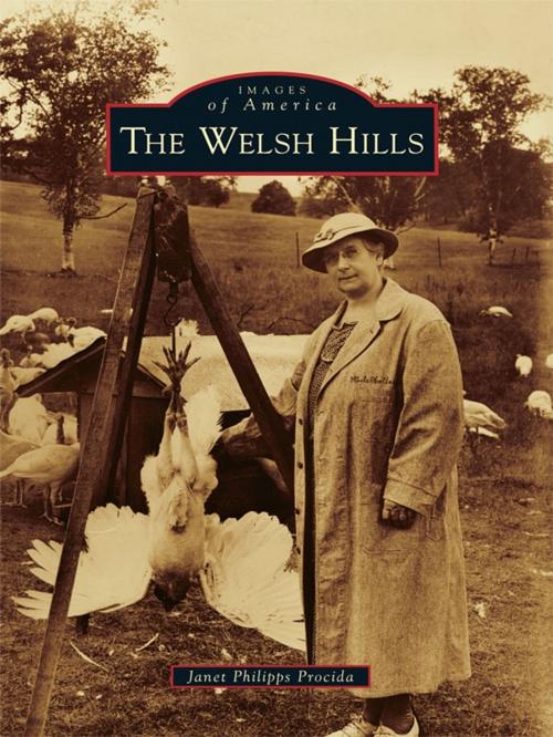 Cover of the book The Welsh Hills by Janet Philipps Procida, Arcadia Publishing Inc.