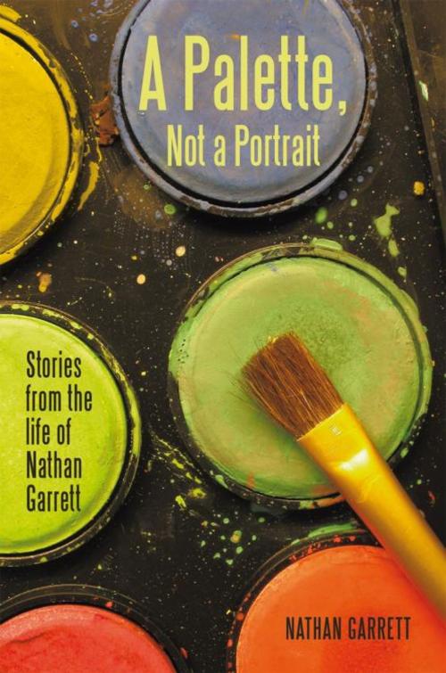 Cover of the book A Palette, Not a Portrait by Nathan Garrett, iUniverse